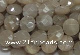 CMS44 15.5 inches 10mm faceted coin moonstone gemstone beads