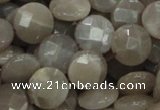 CMS46 15.5 inches 14mm faceted coin moonstone gemstone beads