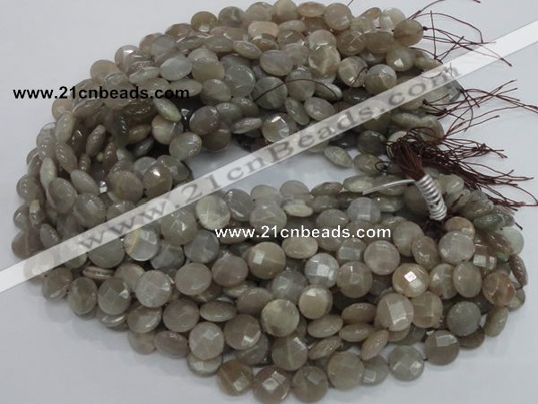 CMS46 15.5 inches 14mm faceted coin moonstone gemstone beads