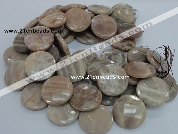 CMS49 15.5 inches 40mm faceted coin moonstone gemstone beads