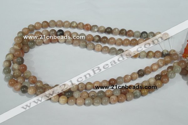 CMS503 15.5 inches 8mm round moonstone beads wholesale