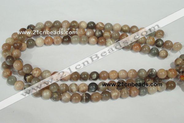 CMS504 15.5 inches 10mm round moonstone beads wholesale