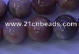 CMS506 15.5 inches 14mm round moonstone beads wholesale