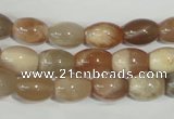 CMS511 15.5 inches 8*12mm rice moonstone beads wholesale