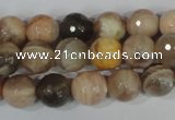 CMS572 15.5 inches 10mm faceted round moonstone beads wholesale