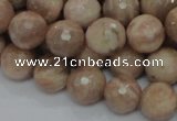 CMS61 15.5 inches 12mm faceted round moonstone gemstone beads