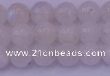 CMS642 15.5 inches 8mm round white moonstone beads wholesale