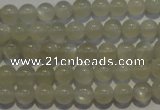 CMS651 15.5 inches 6mm round grey moonstone beads wholesale