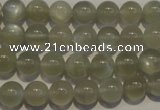 CMS652 15.5 inches 8mm round grey moonstone beads wholesale