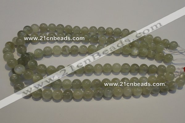 CMS653 15.5 inches 10mm round grey moonstone beads wholesale