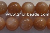 CMS736 15.5 inches 16mm round A grade natural peach moonstone beads