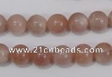 CMS754 15.5 inches 10mm round natural moonstone beads wholesale