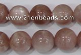 CMS756 15.5 inches 14mm round natural moonstone beads wholesale