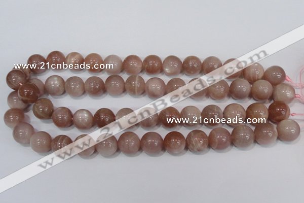 CMS756 15.5 inches 14mm round natural moonstone beads wholesale