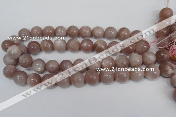 CMS759 15.5 inches 17mm round natural moonstone beads wholesale