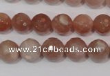 CMS765 15.5 inches 10mm faceted round natural moonstone beads