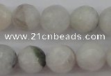 CMS802 15.5 inches 8mm faceted round white moonstone beads