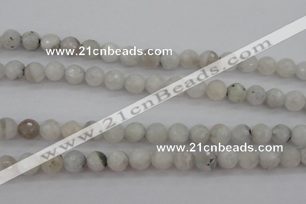 CMS802 15.5 inches 8mm faceted round white moonstone beads