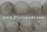 CMS803 15.5 inches 10mm faceted round white moonstone beads