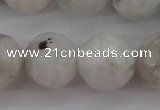 CMS804 15.5 inches 12mm faceted round white moonstone beads