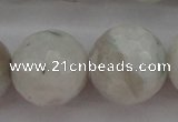 CMS805 15.5 inches 14mm faceted round white moonstone beads