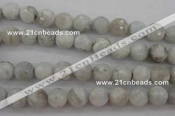 CMS805 15.5 inches 14mm faceted round white moonstone beads