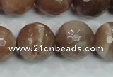 CMS82 15.5 inches 18mm faceted round moonstone gemstone beads