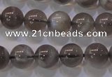 CMS852 15.5 inches 8mm round natural black moonstone beads