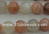 CMS892 15.5 inches 8mm round moonstone gemstone beads wholesale