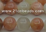 CMS893 15.5 inches 10mm round moonstone gemstone beads wholesale