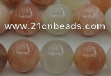 CMS893 15.5 inches 10mm round moonstone gemstone beads wholesale