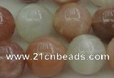 CMS895 15.5 inches 14mm round moonstone gemstone beads wholesale