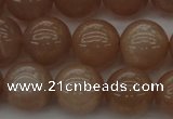 CMS933 15.5 inches 10mm round A grade moonstone gemstone beads