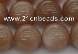 CMS935 15.5 inches 14mm round A grade moonstone gemstone beads