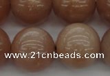 CMS936 15.5 inches 16mm round A grade moonstone gemstone beads