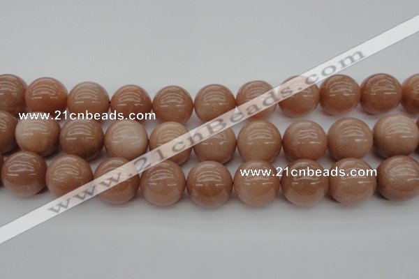 CMS937 15.5 inches 18mm round A grade moonstone gemstone beads