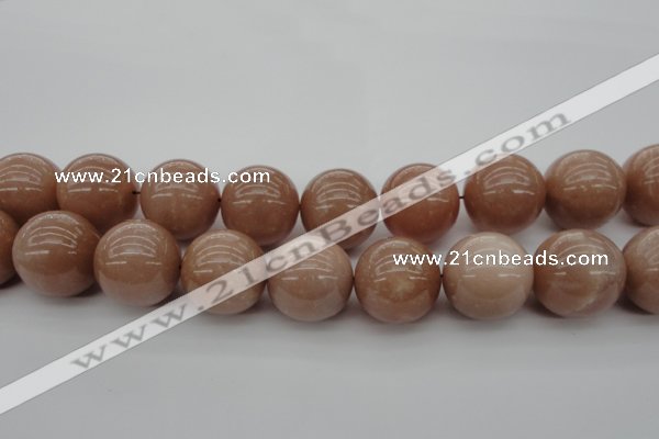 CMS938 15.5 inches 20mm round A grade moonstone gemstone beads