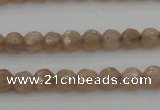 CMS940 15.5 inches 4mm faceted round A grade moonstone gemstone beads