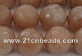 CMS945 15.5 inches 14mm faceted round A grade moonstone gemstone beads