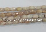 CMS99 15.5 inches 5*7mm faceted rice moonstone gemstone beads