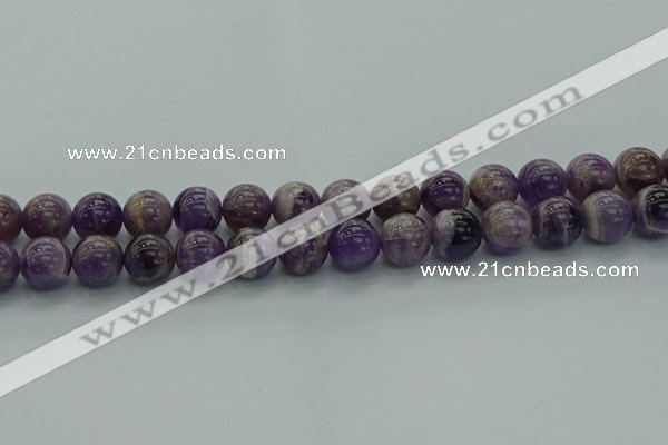 CNA1004 15.5 inches 12mm round dogtooth amethyst beads wholesale