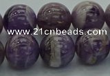 CNA1005 15.5 inches 14mm round dogtooth amethyst beads wholesale