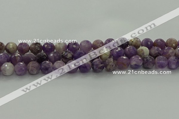 CNA1013 15.5 inches 10mm faceted round dogtooth amethyst beads