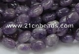 CNA31 15.5 inches 8*10mm oval grade AB natural amethyst beads