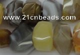 CNG1026 15.5 inches 10*14mm - 15*20mm faceted nuggets Botswana agate beads