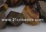 CNG1038 13*18mm - 18*25mm faceted nuggets ammonite fossil beads