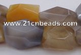 CNG1061 15.5 inches 12*16mm - 15*20mm faceted nuggets Botswana agate beads