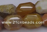 CNG1070 15.5 inches 13*18mm - 16*22mm faceted nuggets Botswana agate beads