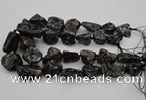 CNG1096 15.5 inches 18*25mm - 25*35mm nuggets ammonite fossil beads