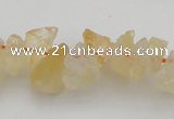 CNG1118 15.5 inches 8*12mm - 13*18mm nuggets citrine gemstone beads